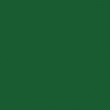 Стіл аудиторний двомісний з регулюванням висоти Бук, Зелений